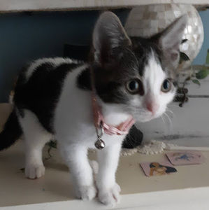 Meet your Posher, Natalie:3jean